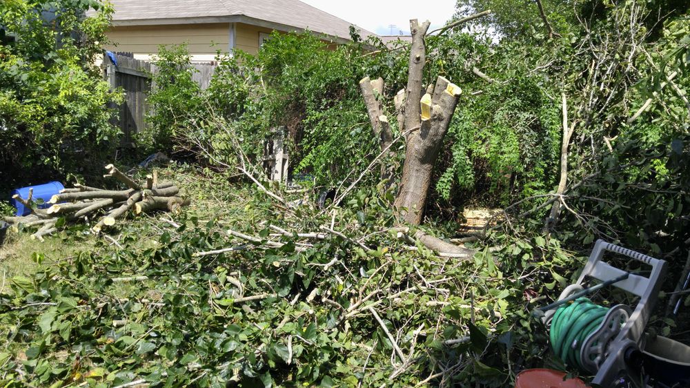 Pile of cut branches and brush ready for chipping