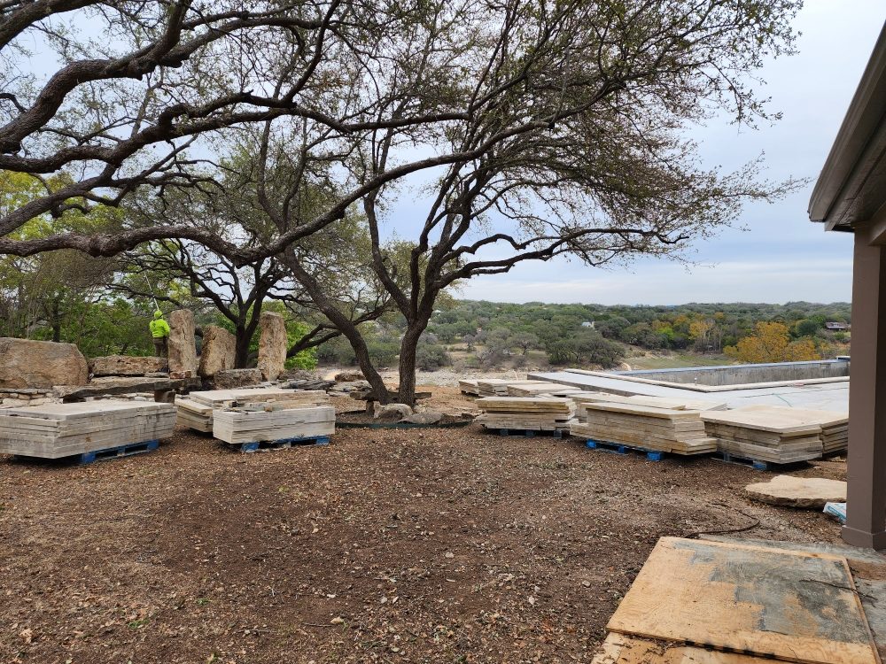 Live oak trimmed and raised up off the ground